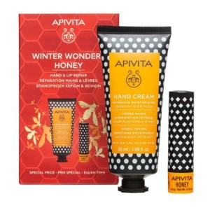 Apivita PROMO PACK Winter Wonders Honey Κρέμα Χεριών Εντατικής Ενυδάτωσης Πλούσιας Υφής 50ml & Lip Care Μέλι 4.4gr